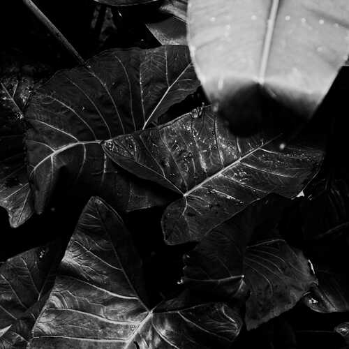Photo #14086153