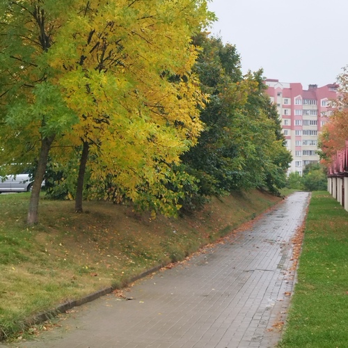 Photo #14086160