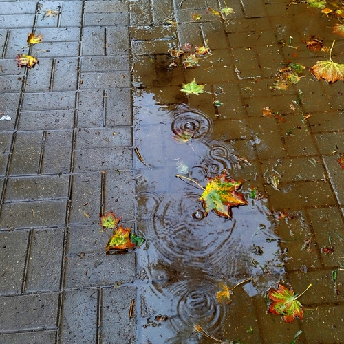Photo #14086162