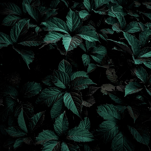 Photo #14086219
