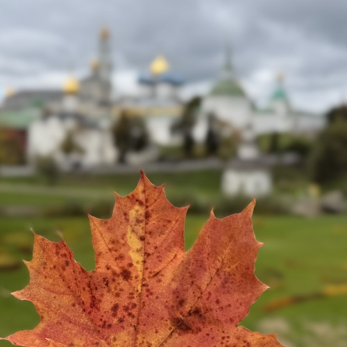Photo #14086220