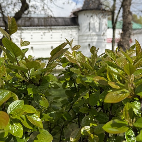 Photo #14086221