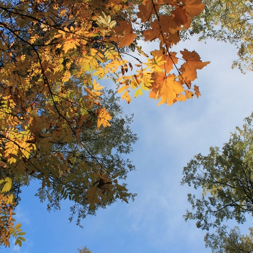 Photo #14086277