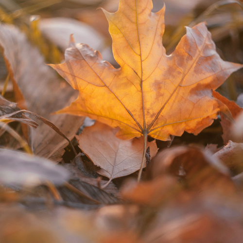 Photo #14086350