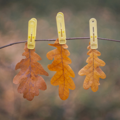 Photo #14086351
