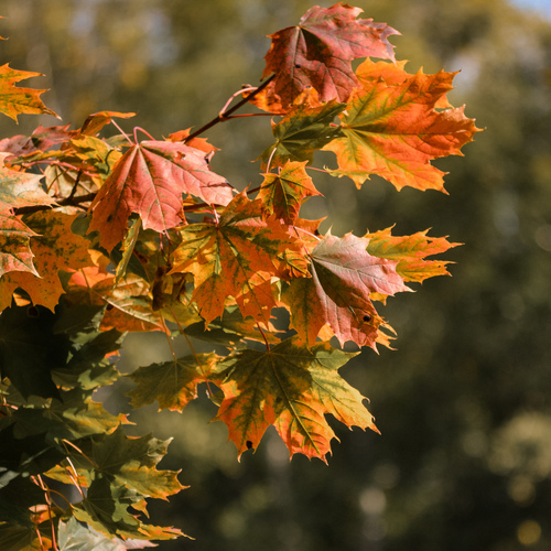 Photo #14086362