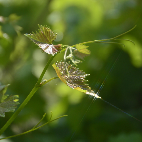 Photo #14086378