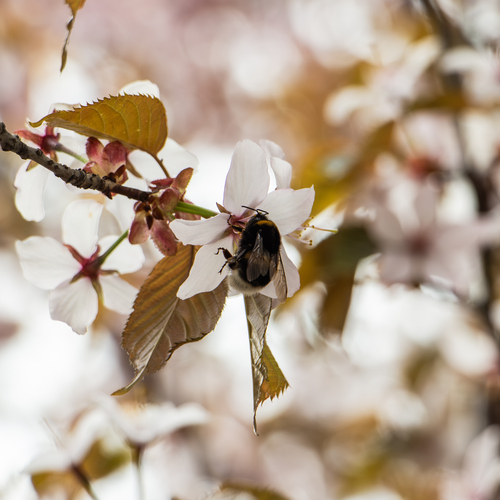 Photo #14086410