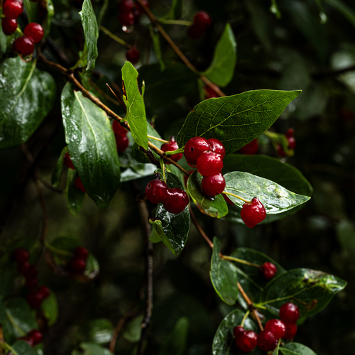 Photo #14086413