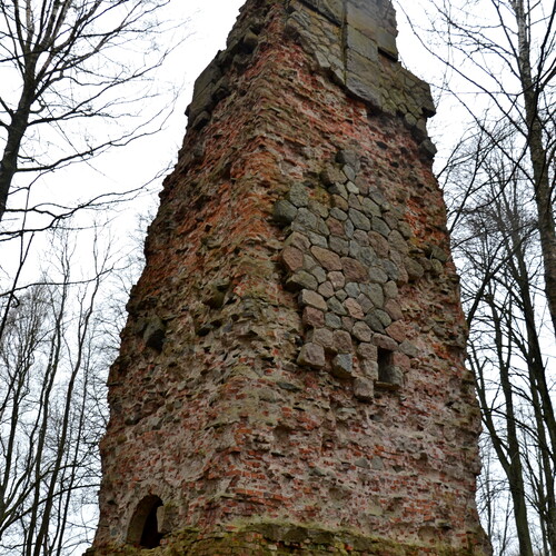 Photo #14086441