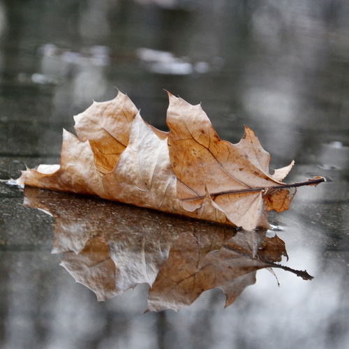 Photo #14086446