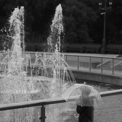 Photo #14086456