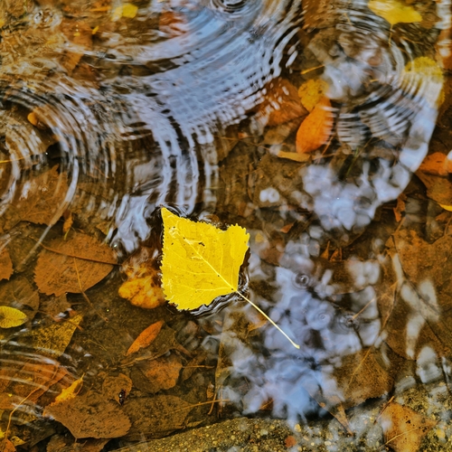 Photo #14086512