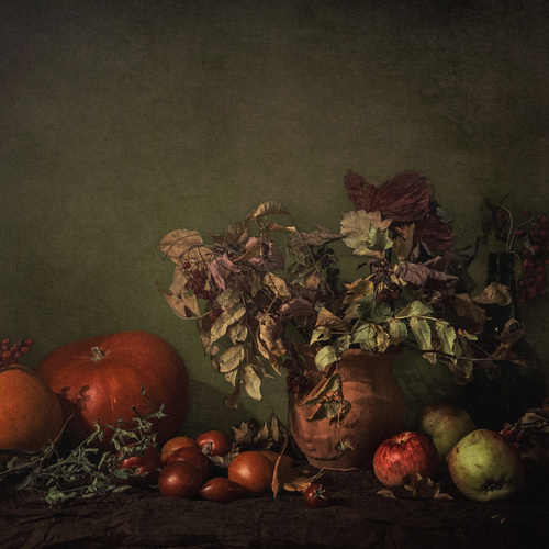 Photo #14086516