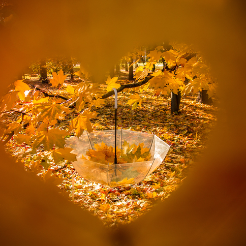 Photo #14086529