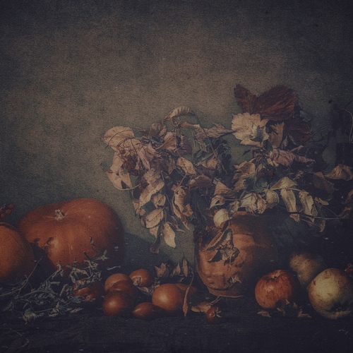 Photo #14086535