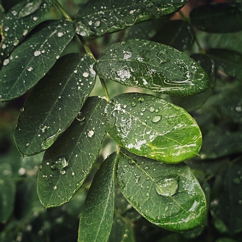 Photo #14086543