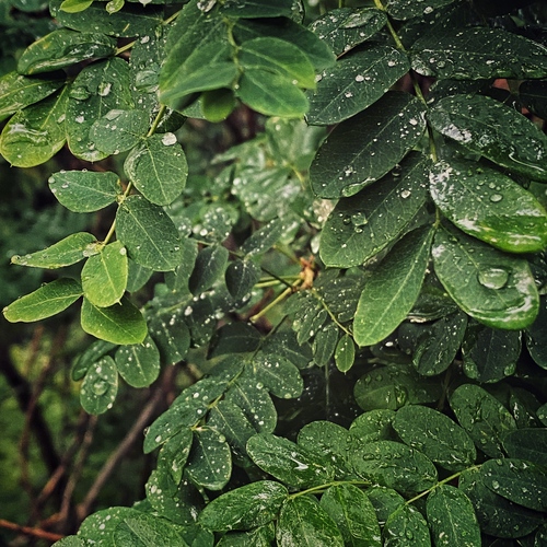 Photo #14086545