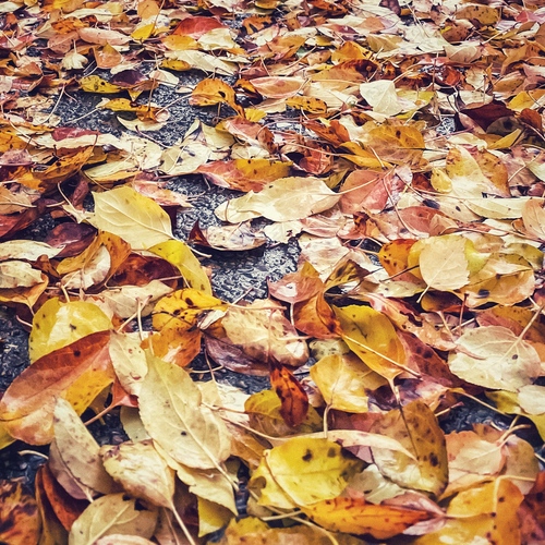 Photo #14086546