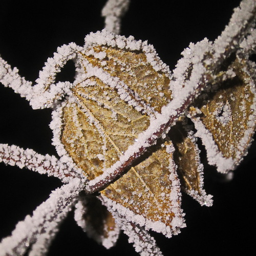 Photo #14086558