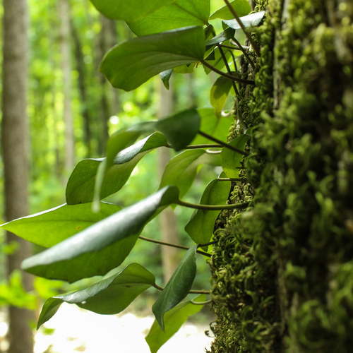 Photo #14086585