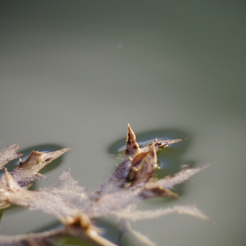 Photo #14086588