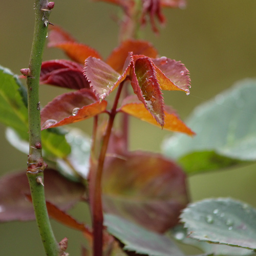 Photo #14086599