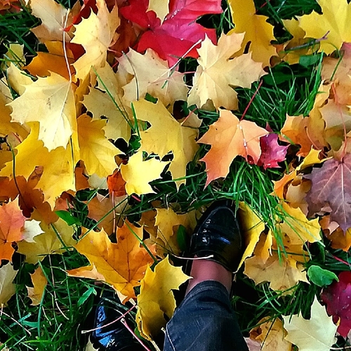 Photo #14086624