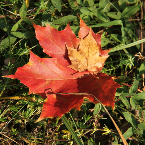 Photo #14086628