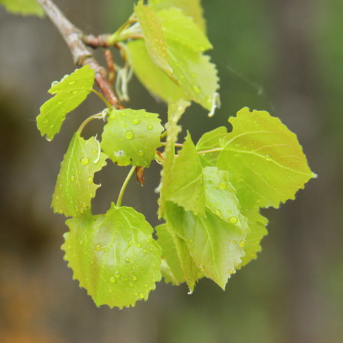Photo #14086634