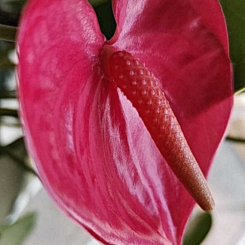 Photo #14086669