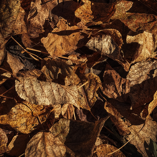 Photo #14086677