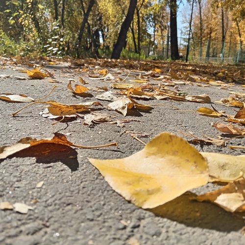 Photo #14086737