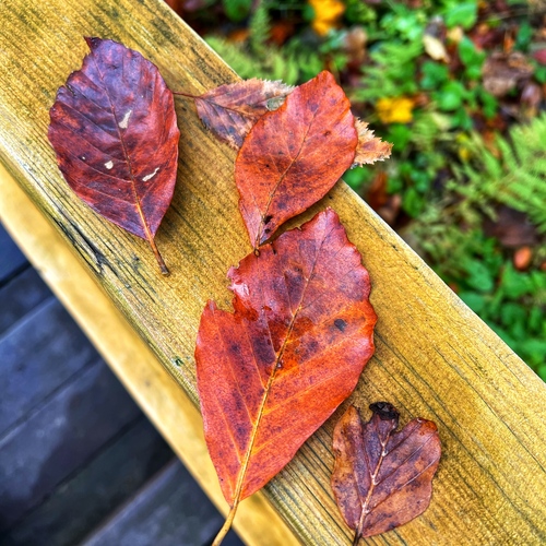 Photo #14086767