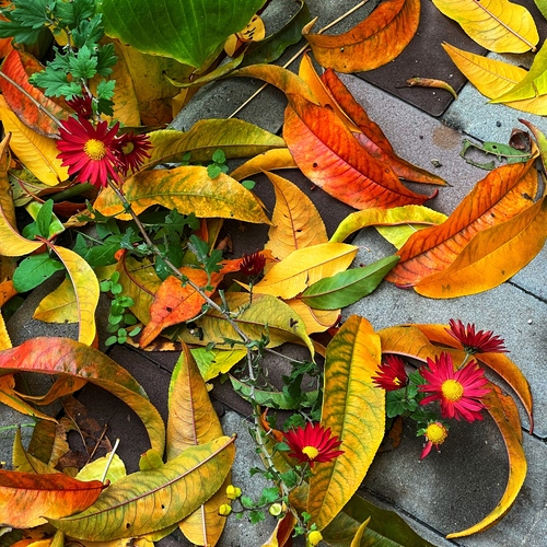 Photo #14086768