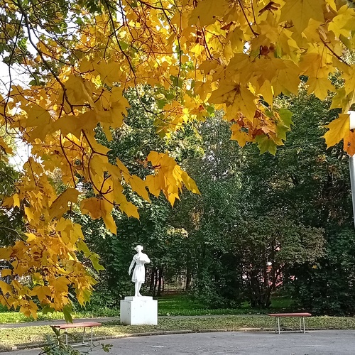 Photo #14086771