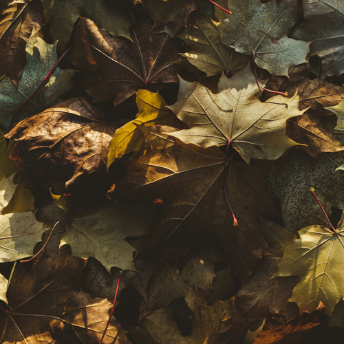 Photo #14086777