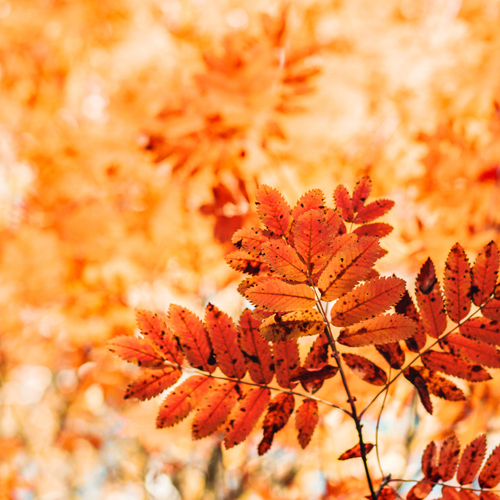 Photo #14086778