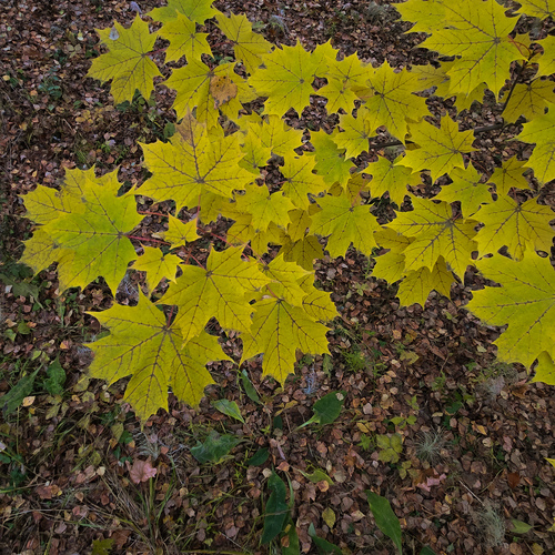 Photo #14086808