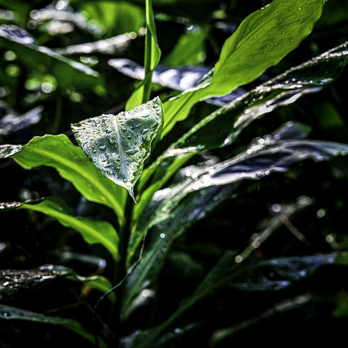 Photo #14086835