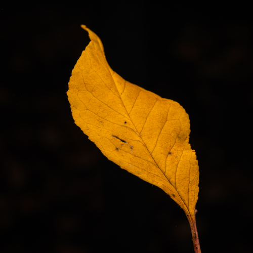 Photo #14086841