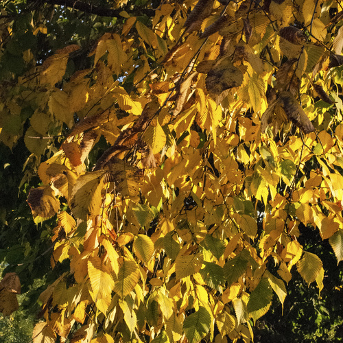 Photo #14086844