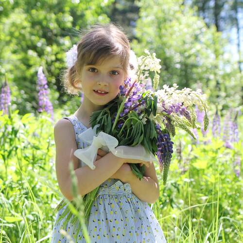 Photo #14086850