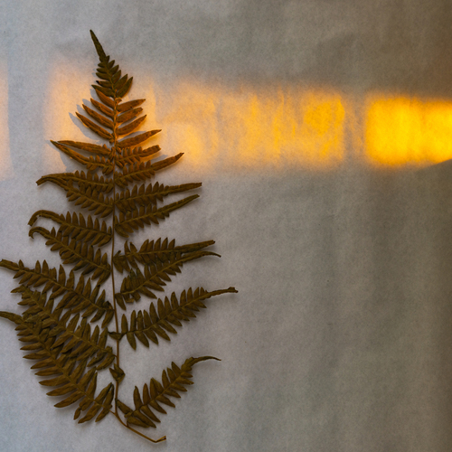 Photo #14086860