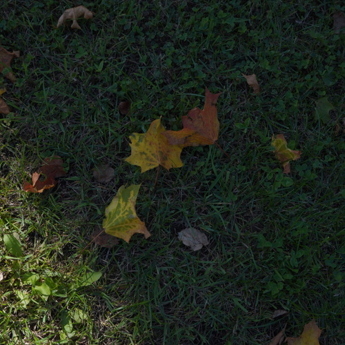 Photo #14086867