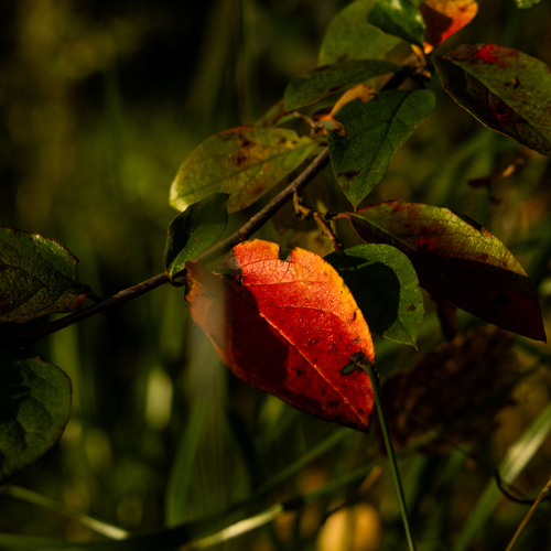 Photo #14086869