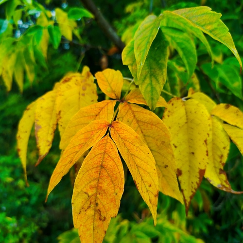 Photo #14086971