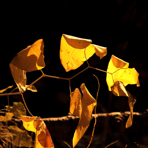 Photo #14087022