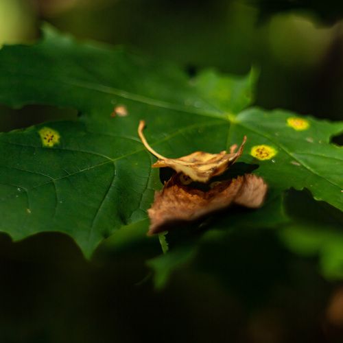 Photo #14087026