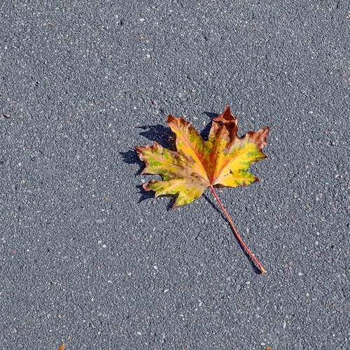 Photo #14087063